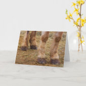 Funny Cheval Legs obtenir carte de bien (Fleur jaune)