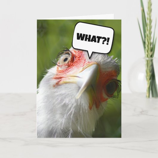 FUNNY CHICKEN BIRTHDAY CARD KAART (Voorkant)