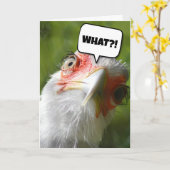 FUNNY CHICKEN BIRTHDAY CARD KAART (Gele Bloem)