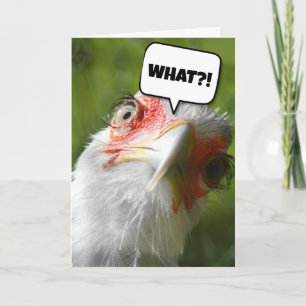 FUNNY CHICKEN BIRTHDAY CARD KAART
