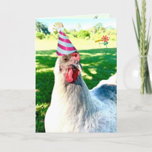 Funny Chicken Birthday Kaart