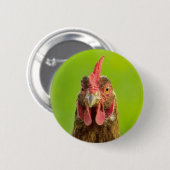 Funny Chicken - Button (Voorkant /achterkant)