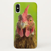 Funny Chicken Face over Groen