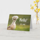 Funny Chicken Kaart (Gele Bloem)