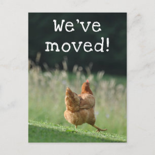 Funny Chicken New Address We hebben onze aankondig Briefkaart
