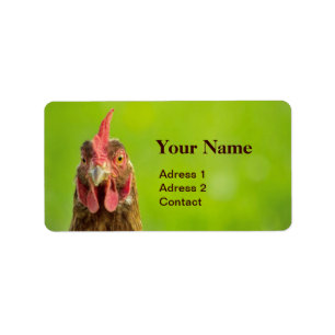 Funny Chicken on Green Etiket