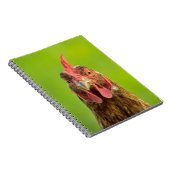 Funny Chicken Portrait - notebook Notitieboek (Rechterzijde)