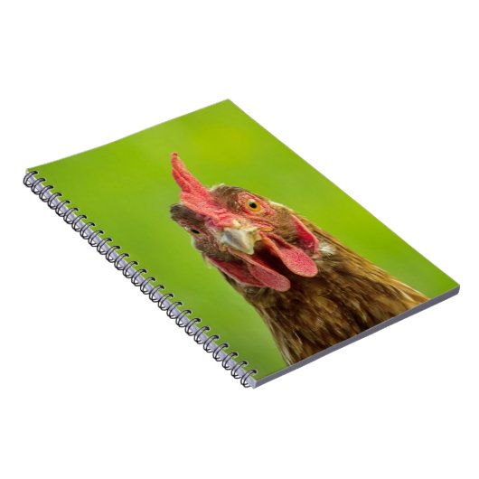 Funny Chicken Portrait - notebook Notitieboek (Rechterzijde)