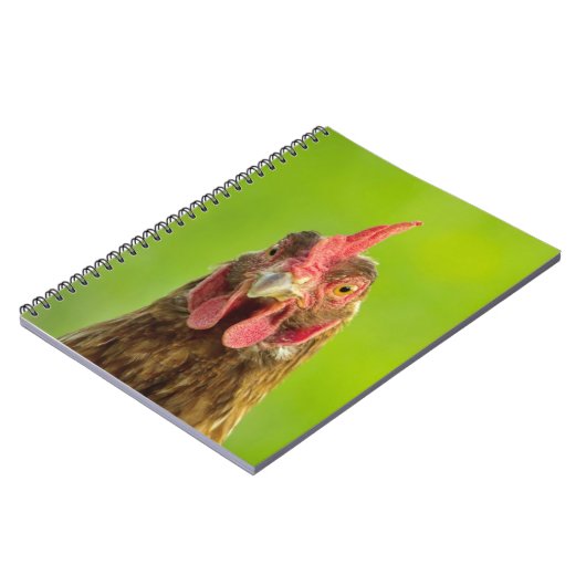 Funny Chicken Portrait - notebook Notitieboek (Linkerzijde)