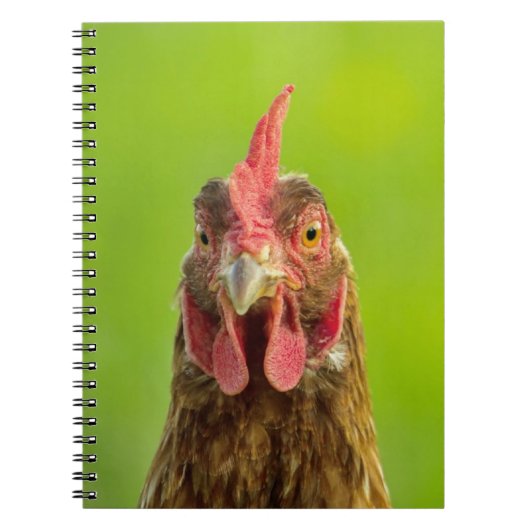 Funny Chicken Portrait - notebook Notitieboek (Voorkant)