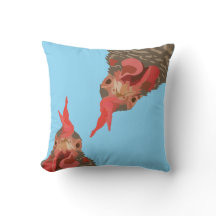 Funny Chicken Upside Down