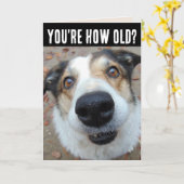 FUNNY CHIEN ANNIVERSAIRE DEVENIR PLUS ÂGÉ Cartes d (Fleur jaune)