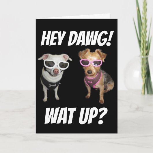 FUNNY CHIEN CARTES D'ANNIVERSAIRE, FÊTE ! (Devant)