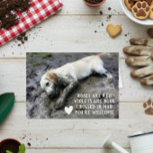 Funny Chien chiot Valentine's Day mème