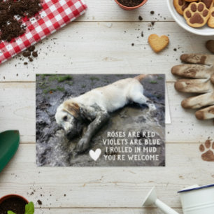 Funny Chien chiot Valentine's Day mème