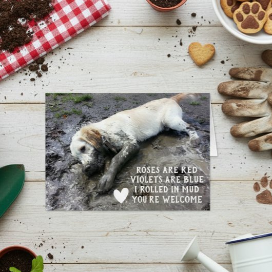 Funny Chien chiot Valentine's Day mème