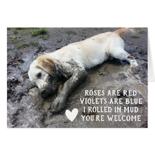 Funny Chien chiot Valentine's Day mème (Devant horizontal)