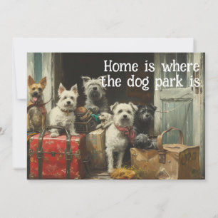 Funny Chien Déménager un nouveau Faire-part d'adre