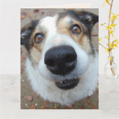 FUNNY CHIEN SE METTRE BIEN BIENTÔT Cartes de voeux (Fleur jaune)