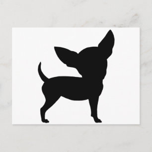 Funny Chihuahua Briefkaart