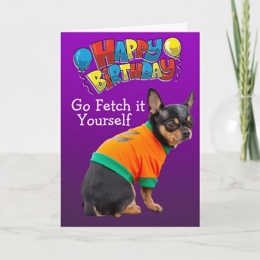 Funny Chihuahua carte d'anniversaire pour chien (Devant)