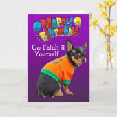 Funny Chihuahua carte d'anniversaire pour chien (Fleur jaune)