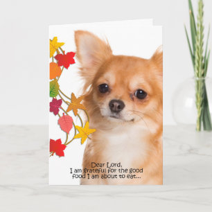Funny Chihuahua Carte Thanksgiving