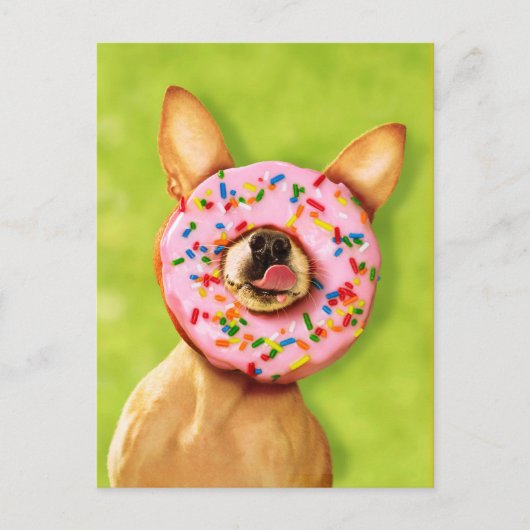 Funny Chihuahua Dog met Sprinkle Donut op Nose Briefkaart (Voorkant)