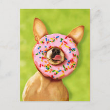 Funny Chihuahua Dog met Sprinkle Donut op Nose
