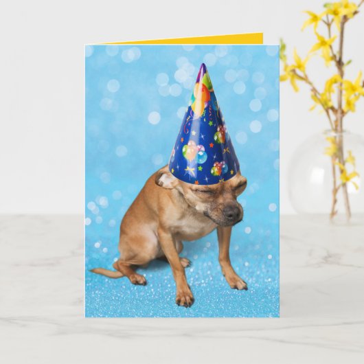 Funny Chihuahua in Birthday Party Pet Kaart (Gele Bloem)