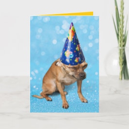 Funny Chihuahua in Birthday Party Pet  Kaart