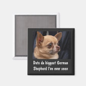 FUNNY CHIHUAHUA MAGNET (Recto/Verso)