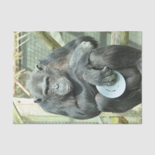 FUNNY CHIMP TISSUEPAPIER