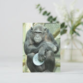 FUNNY CHIMPANZEE BRIEFKAART (Staand voorkant)
