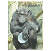 FUNNY CHIMPANZEE KLEMBORD (Achterkant)