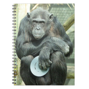FUNNY CHIMPANZEE NOTITIEBOEK