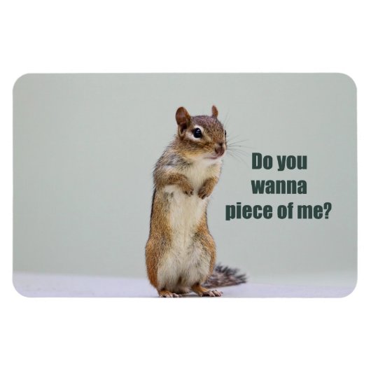 Funny Chipmunk Afbeelding Magneet (Horizontaal)