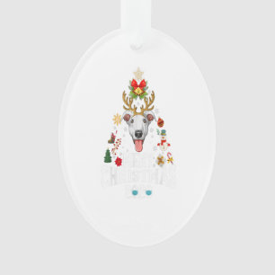 Funny Christmas 2020