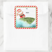 Funny Christmas Beach Cadeau Labels (Tas)