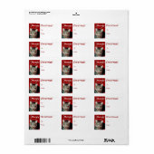 Funny Christmas Gift Label Labels (Full Sheet)