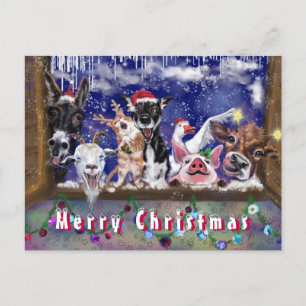 Funny Christmas Kaart Kaart Happy Animal Party