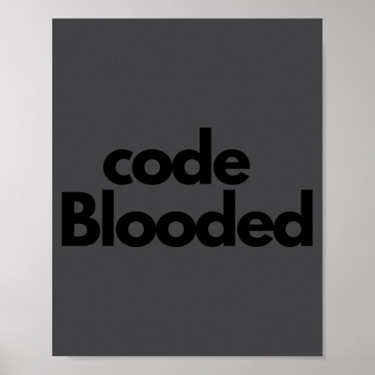 Funny Coder Computer Programmer Poster (Voorkant)