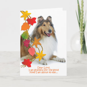 Funny Collie Carte Thanksgiving