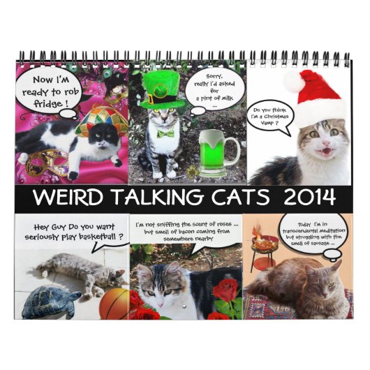 FUNNY COMIC STRIPS VAN WEIRD TALKING CATS 2014 KALENDER (Hoes)