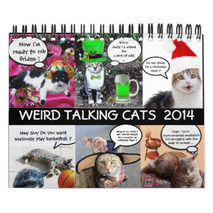 FUNNY COMIC STRIPS VAN WEIRD TALKING CATS 2014 KALENDER
