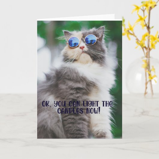 Funny Cool Chat Carte de voeux d'anniversaire (Fleur jaune)