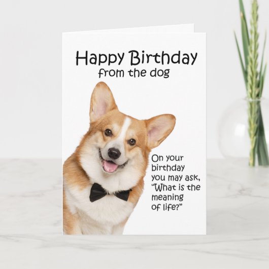 Funny Corgi Birthday Card Bedankkaart (Voorkant)
