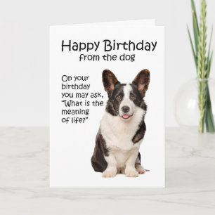 Funny Corgi Birthday Card Kaart