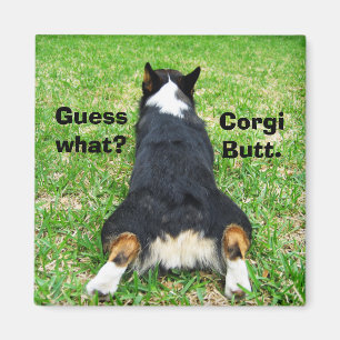 Funny Corgi Butt Magneet