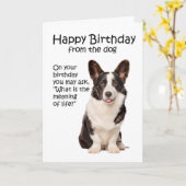 Funny Corgi carte d'anniversaire (Fleur jaune)